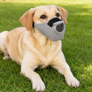 Breathable Dog Mesh Muzzle, Adjustable Pet Mouth Cover, Outdoor Walking Pet Accessory
