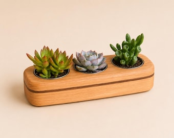 Solid Cherry Succulent Planter | Minimalist Wooden Desk Planter | Modern Indoor Planter