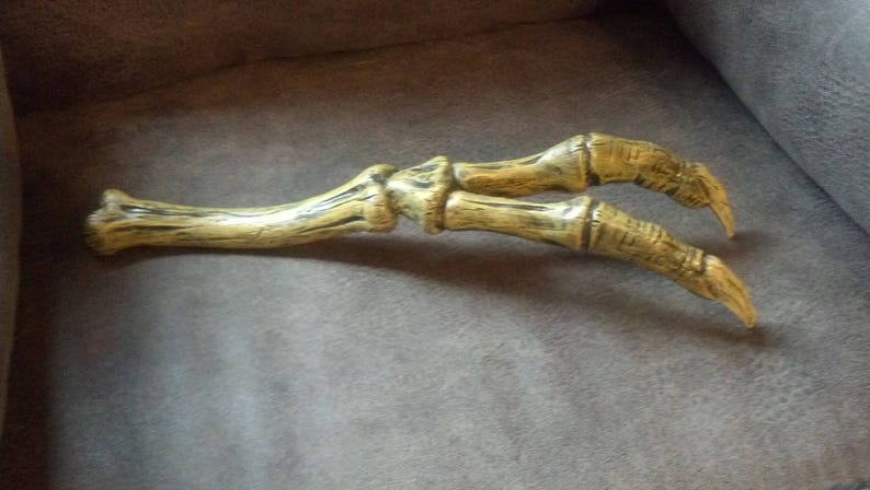 t rex arm bones