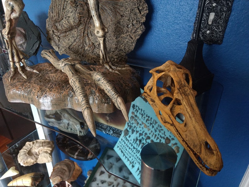 t rex arm bones