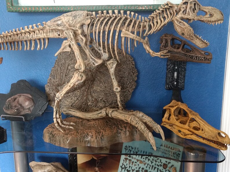 t rex arm bones