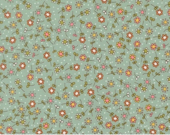 Moda Fabric/Precuts