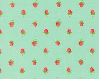 Moda Bloomsberry yardage, SOLD in HALF yard increments-Aqua 55352 13