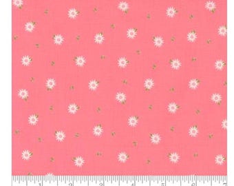 More Fabric & Precuts