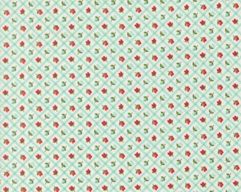 Moda Bloomsberry yardage, SOLD in HALF yard increments- Aqua 55358 23
