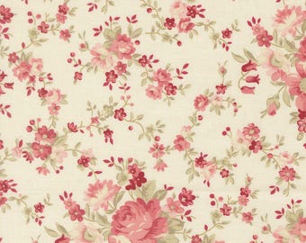 Moda, Petals and Polka Dots Lace, by Bunny Hill Designs yardage, SOLD in HALF yard increments #3080 11