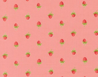Moda Bloomsberry yardage, SOLD in HALF yard increments-Blush 55352 16