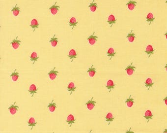 Moda Bloomsberry yardage, SOLD in HALF yard increments-Buttermilk 55352 12