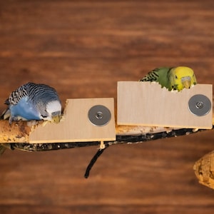 May include: Two budgies perched on a branch with wooden feeding boxes. One budgie is blue and white, the other is green and yellow. The wooden boxes are attached to the branch with metal fasteners. The background is a warm brown wood.