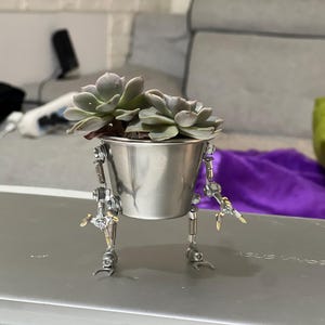 Puede incluir: Una pequeña planta suculenta en una maceta de metal plateado con patas y brazos robóticos. La planta tiene hojas verdes y moradas. La maceta está unida a las patas con pernos y resortes. La maceta robótica está sobre una superficie gris.