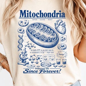 Peut inclure: Un t-shirt couleur crème avec une impression graphique bleue représentant une mitochondrie, un cœur, un microscope, de l'ADN et des structures chimiques. Le texte indique Mitochondria, Oxygen-Glucose-Energy, we make ATP so you don't have to, no mitochondria, no life-simple math, ATP-ADP+P, Energy!, et Powering life Since Forever!