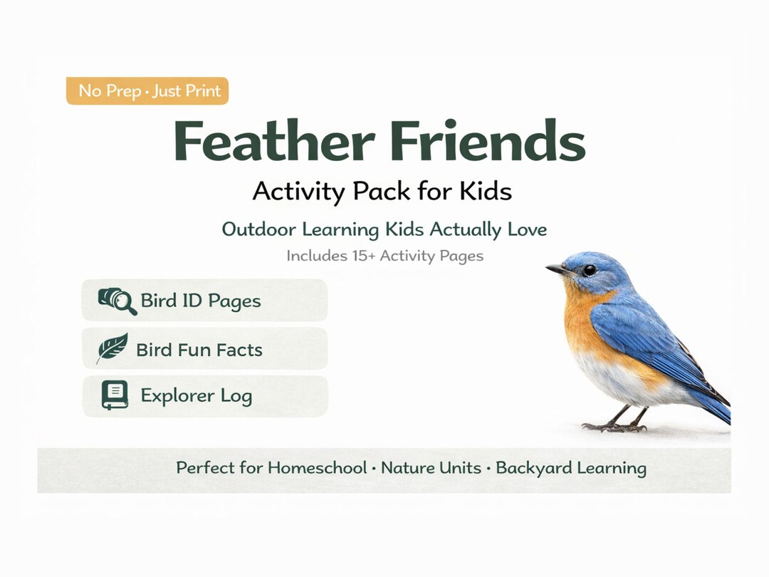 Buy Bird Activity Pack for Kids Printable | Backyard Bird Worksheets ...