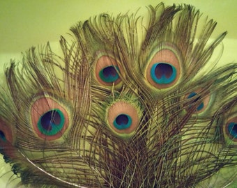 Peacock Feathers, All Seeing, Bright Blue, Green,Gold, Iridescent , Natural, Not Dyed, Tot of 7 Feathers, Supply,Jewlery Making,Scrapbooking