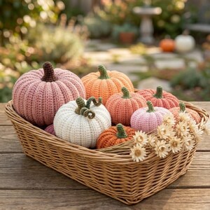 Peut inclure: Un panier en osier rempli de diverses citrouilles crochet&eacute;es dans des tons de rose, d'orange et de blanc. Les citrouilles ont des tiges vertes ou marron. Le panier est pos&eacute; sur une surface en bois, avec un arri&egrave;re-plan ext&eacute;rieur flou.