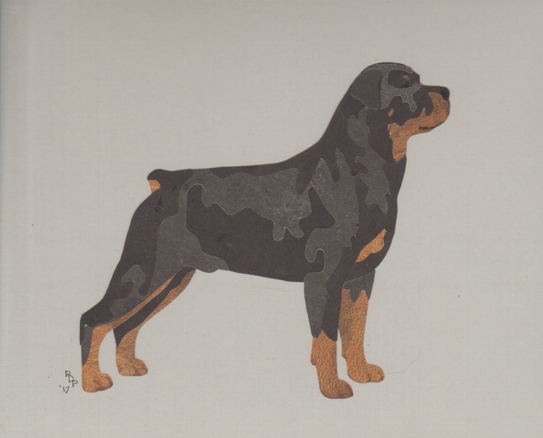 Rottweiler Handmade Original Cut Paper Collage Dog Art Undocked