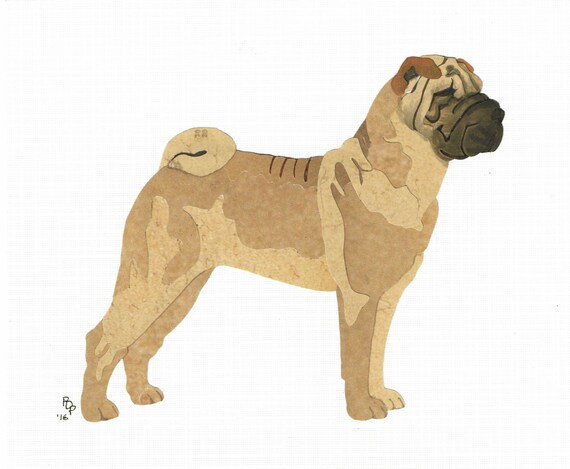 original shar pei dog