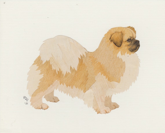 Tibetan Spaniel Pants Tibetan Spaniel Pants
