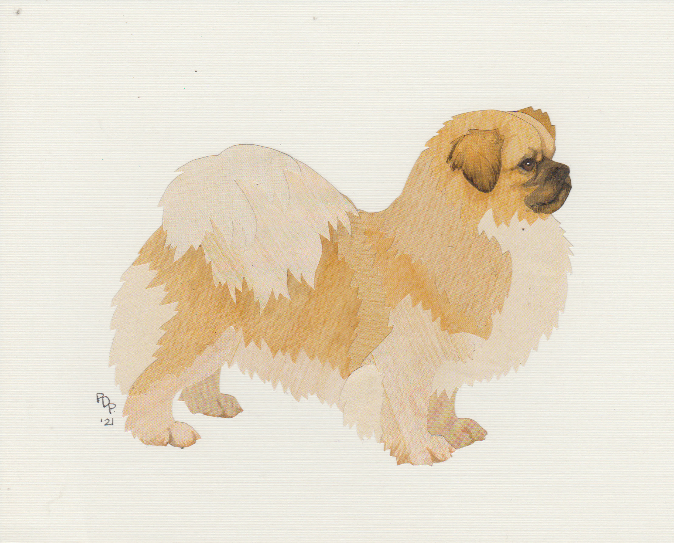 Tibetan Spaniel Pants Tibetan Spaniel Pants