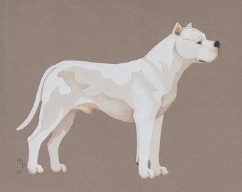 Dogo Argentino handmade original cut paper collage dog art