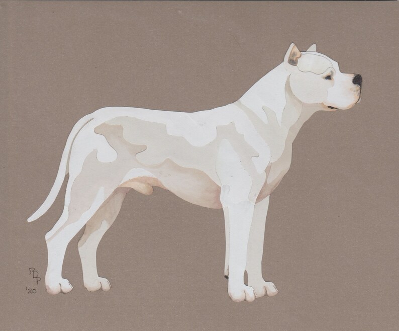 Dogo Argentino handmade original cut paper collage dog art image 1