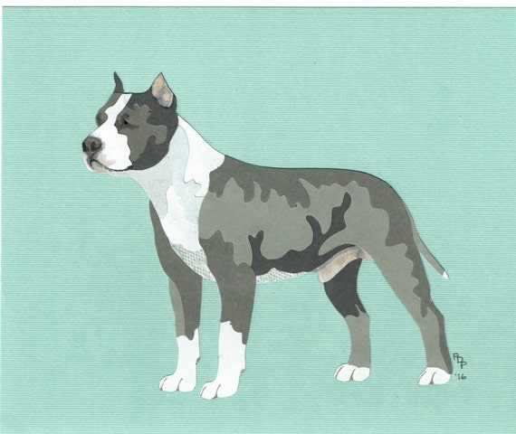 Original staffordshire cheap terrier