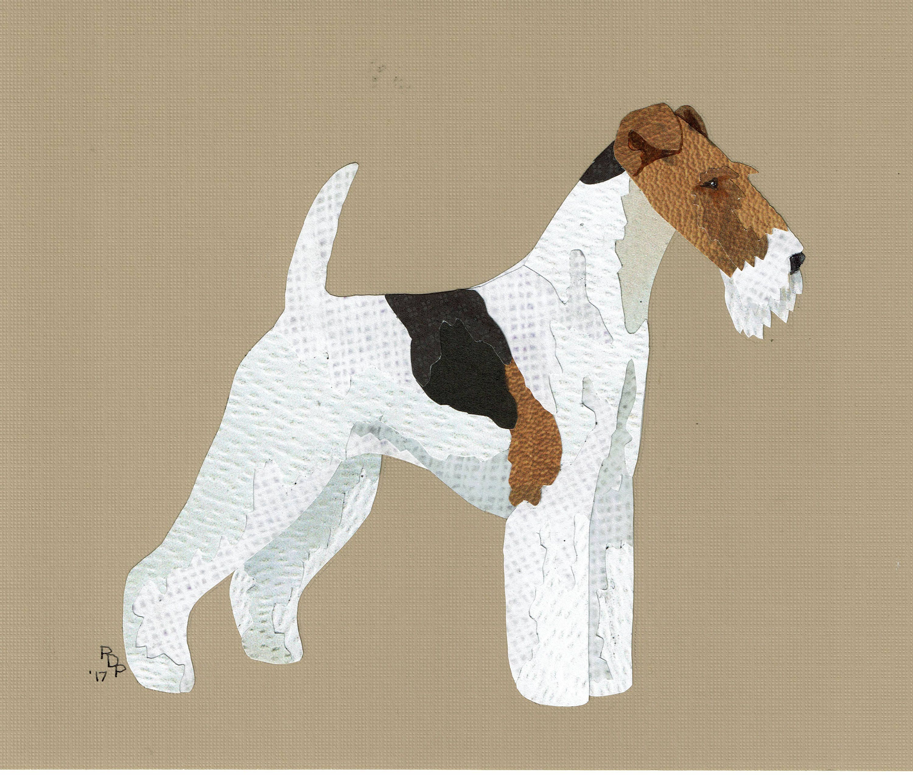 fox terrier cut