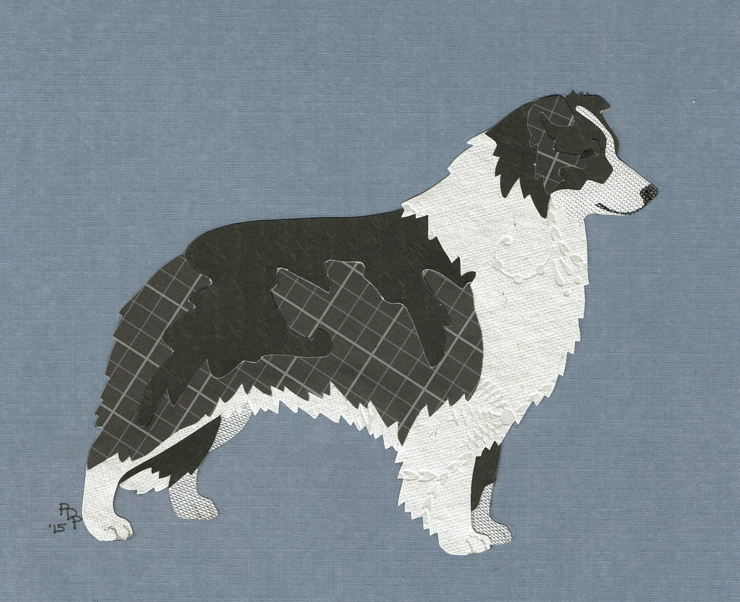 Sale border collie golden retriever puppies Outlet, image size:3000x2442