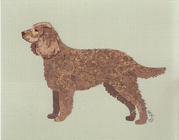American Water Spaniel Handmade Original Cut Paper Collage Dog Art