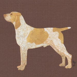 May include: A white and brown dog with brown spots stands on a brown background. The dog is facing to the left and has its head turned to the right. The dog is a Bracco Italiano.