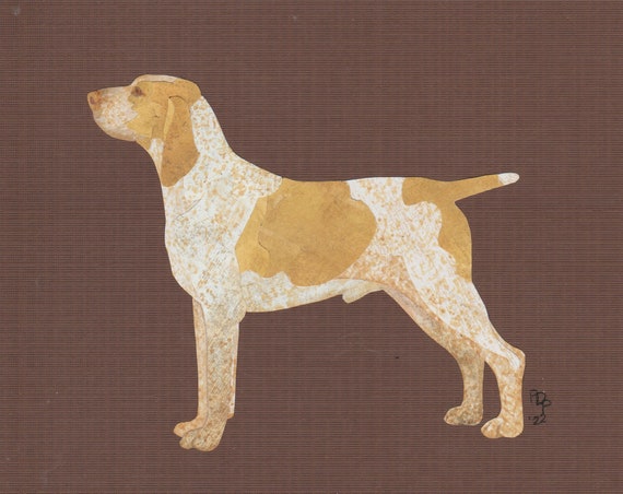 Bracco italiano best sale cost