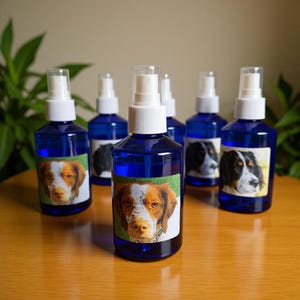 Può includere: Sei flaconi spray blu con tappi bianchi sono disposti su una superficie di legno. Ogni flacone ha un'etichetta con la faccia di un cane. I cani hanno pelo marrone, nero e bianco. I flaconi sono riempiti con un liquido trasparente.