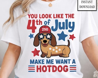Funny 4th of July Hotdog Dog PNG, Dachshund Patriotic Design, Red White Blue Shirt Graphic