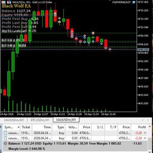 May include: A computer screen displaying a financial trading platform with a candlestick chart showing price fluctuations. The chart includes green and red bars, indicating buying and selling activity. Text on the screen includes financial data and the name "Black Wolf EA".