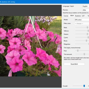 May include: A software interface titled Zetmar Color 1.0 displays a photo editing panel with tabs for Curves, B&W, Duotone, LUT, and Toning. The main window shows a vibrant hanging basket of bright pink petunia flowers against green foliage.