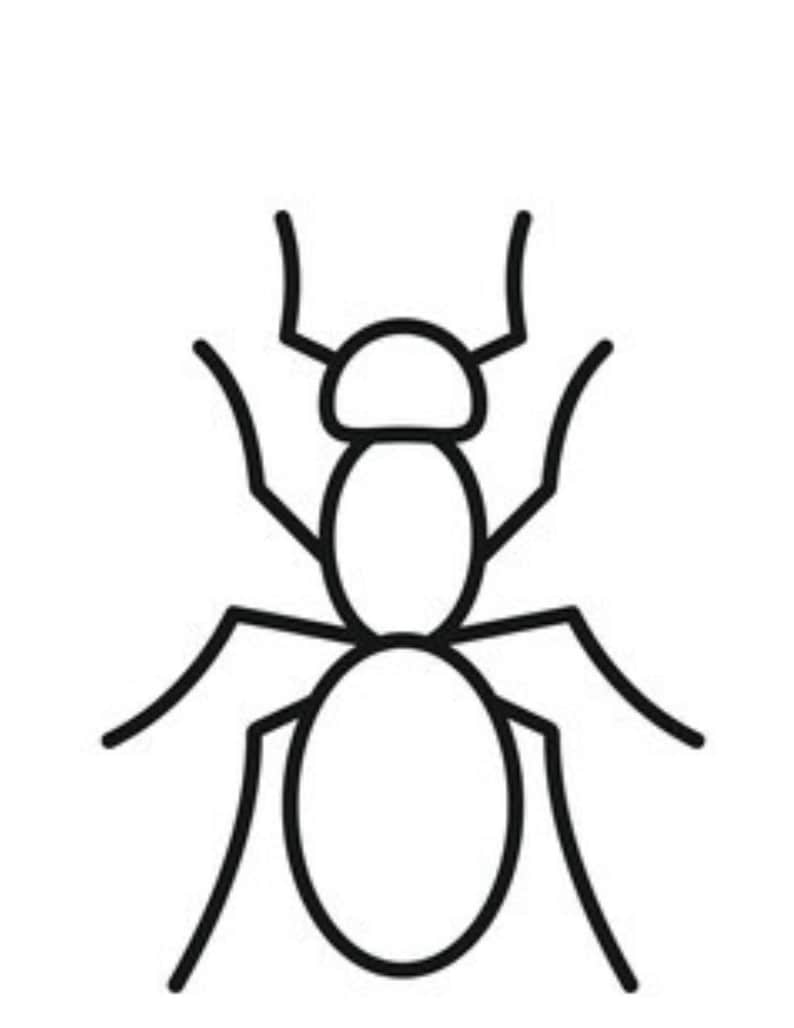 Insect Cut and Paste Worksheets for Kids Ages 2–5 | Preschool Fine ...