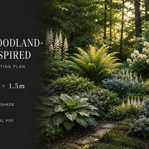 Tranquil Woodland-Inspired Shade Garden Border Planting Plan | Low-Maintenance | Digital PDF | 3m x 1.5m