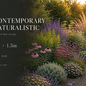 Full Sun Border Planting Plan | Contemporary Naturalistic Garden Border Design | Digital PDF | 3m x 1.5m