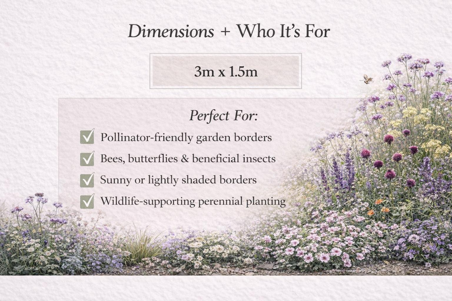 Vibrant Pollinator-friendly Border Plan – Full Sun Planting Design (3m ...