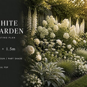 Serene White Garden Border Planting Plan | Digital PDF | 3m x 1.5m