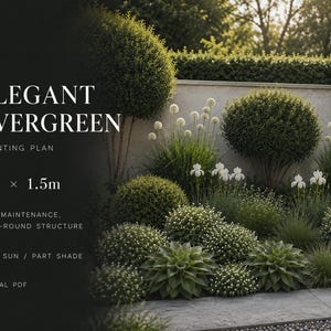 Elegant Evergreen Garden Border Planting Plan | Low-Maintenance, Year-Round Structure | Digital PDF | 3m x 1.5m image 1