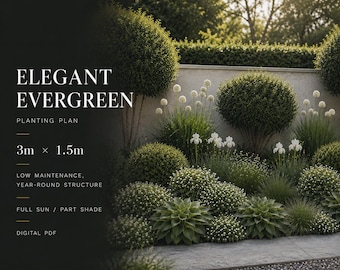 Elegant Evergreen Garden Border Planting Plan | Low-Maintenance, Year-Round Structure | Digital PDF | 3m x 1.5m