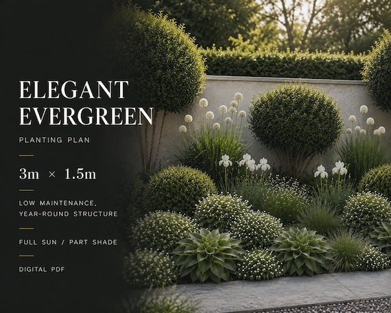 Elegant Evergreen Garden Border Planting Plan | Low-Maintenance, Year-Round Structure | Digital PDF | 3m x 1.5m