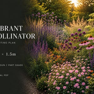 Vibrant Pollinator-Friendly Garden Border Planting Plan | Digital PDF | 3m x 1.5m