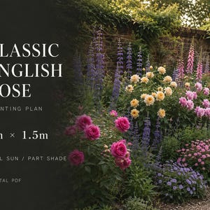 Classic English Rose Garden Border Planting Plan | Plant List | Digital PDF | 3m x 1.5m