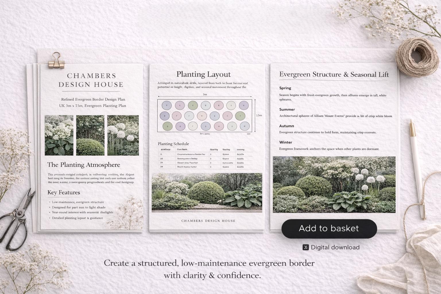 Elegant Evergreen Border Plan – Low Maintenance, Year-round Structure ...