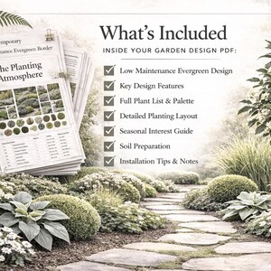 Elegant Evergreen Garden Border Planting Plan | Low-Maintenance, Year-Round Structure | Digital PDF | 3m x 1.5m image 3