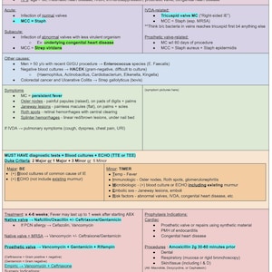 May include: A medical reference chart detailing bacterial endocarditis, including causes, symptoms, diagnostic tests, and treatment options. Key sections cover acute and subacute forms, with notes on valve involvement and related conditions. The chart uses a color-coded layout for clarity.