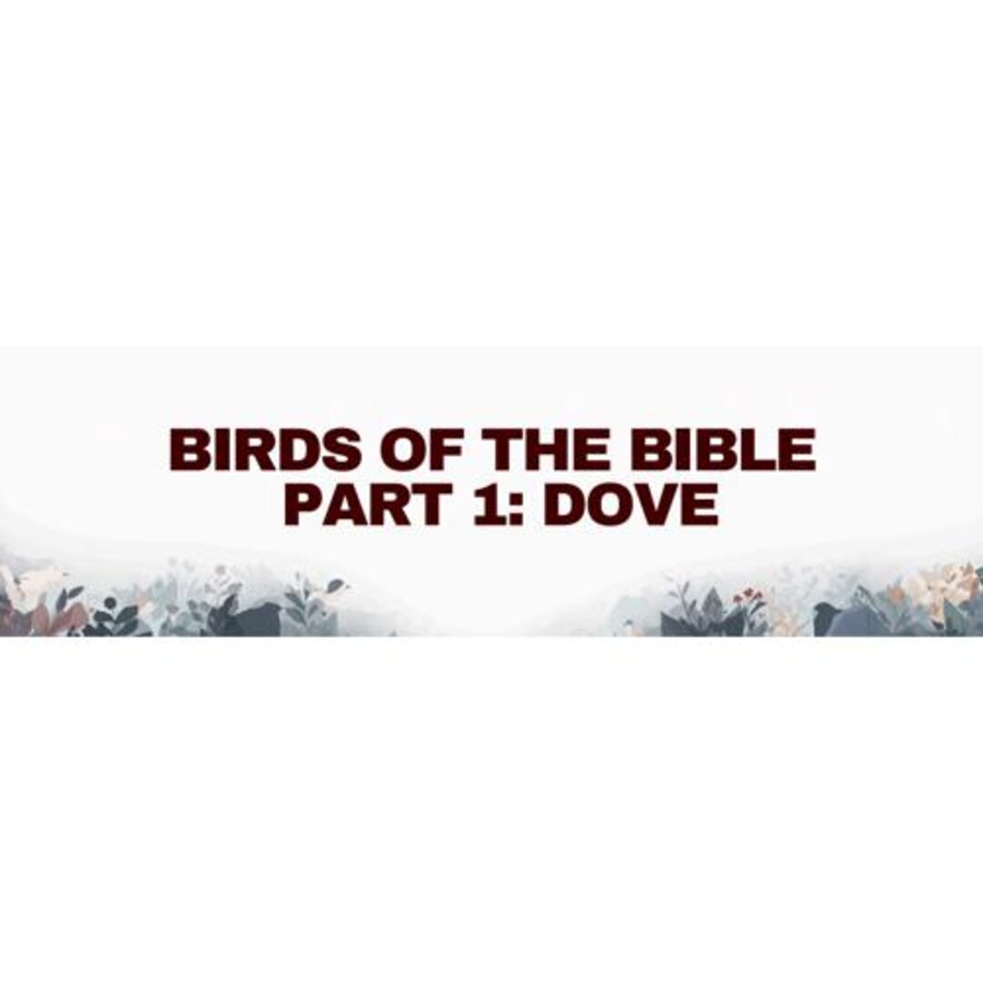 Birds of the Bible Part 1 Devotional: Doves - Etsy UK