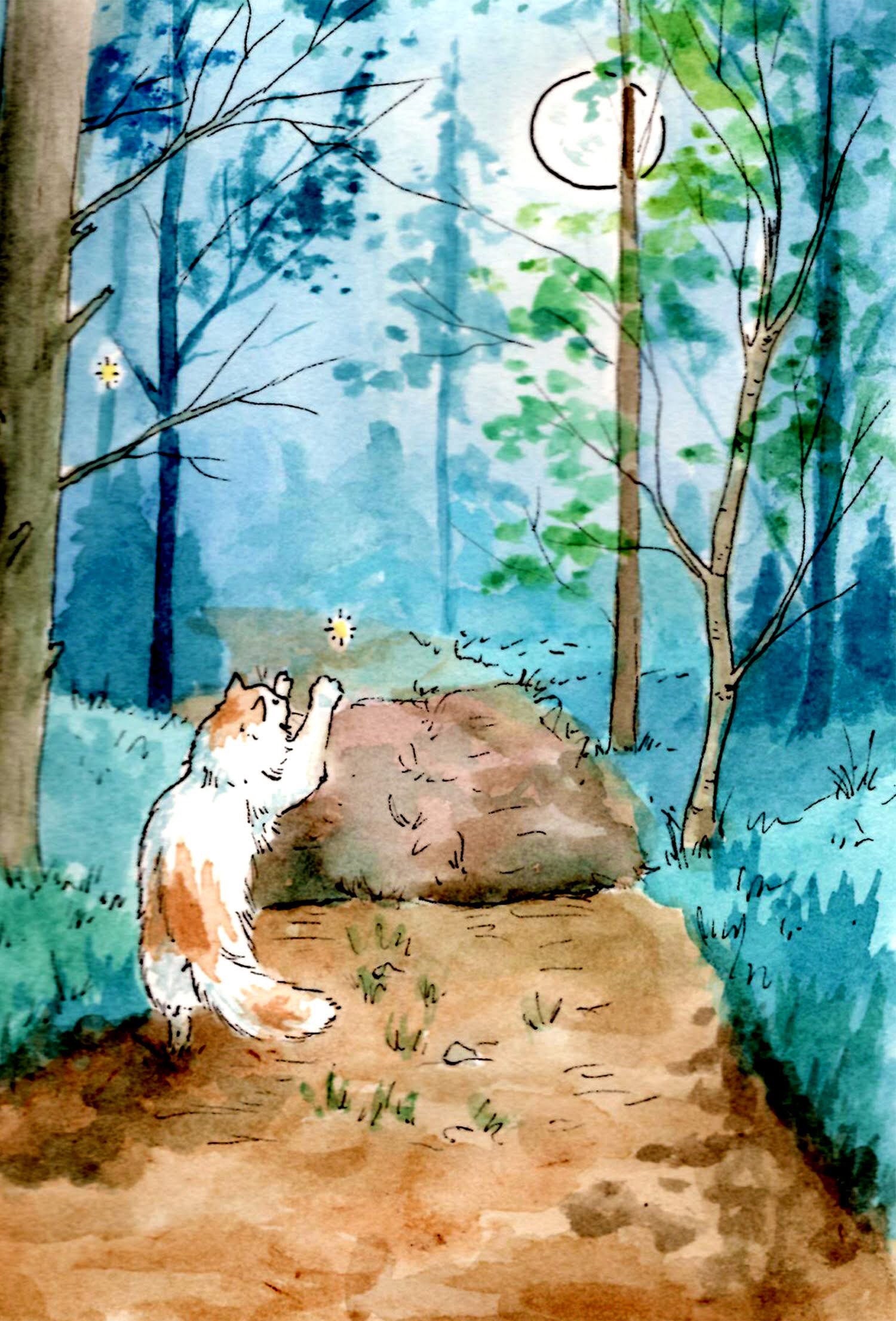 Cute Cat Playing With Fireflies 5x7 Art Printoriginal Etsy