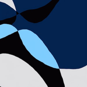Può includere: Una stampa grafica astratta caratterizzata da forme organiche sovrapposte in una tavolozza di colori blu navy profondo, azzurro cielo, nero e bianco sporco. La composizione è costituita da linee curve lisce e blocchi di colore solido che creano un effetto visivo fluido e stratificato sull'intera superficie rettangolare.